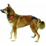 Trixie DeLuxe XL Kalhotky hárací 60-70 cm – Zboží Mobilmania