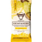 Chimpanzee Energy Bar lemon 55 g – Sleviste.cz