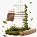 Dřevěná pergola Floranica s mřížkou, 150 cm – Hledejceny.cz