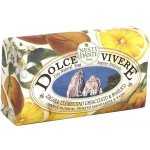 Nesti Dante Dolce Vivere mýdlo Capri 250 g – Zbozi.Blesk.cz