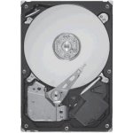 Seagate Savvio 10K.5 300GB, 10000rpm, ST9300605SS – Hledejceny.cz