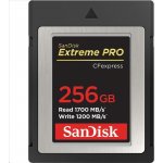 SanDisk SDC 256G SDCFE-256G-GN4NN – Zbozi.Blesk.cz
