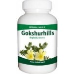 Herbal Hills Gokshurhills Bylinné kapsle 60 kapslí – Hledejceny.cz