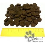 Red Dingo Hypno postroj – Hledejceny.cz