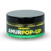 Návnada a nástraha Mikbaits Plovoucí Boilies Amur Pop-Up 100ml 14mm