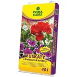 Agro CS Primaflora Substrát pro muškáty (pelargonie) 40 l – Zboží Mobilmania