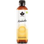 Puhdistamo Kombucha BIO 370 ml ginger lemon Bio Kombucha zázvor-citrón – Hledejceny.cz