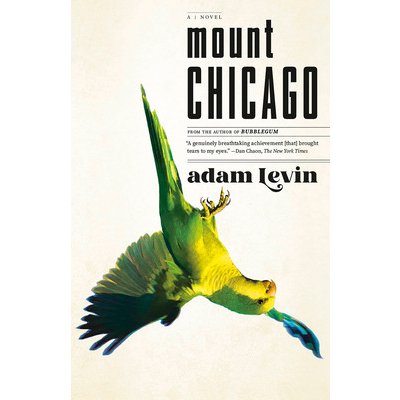 Mount Chicago Levin AdamPaperback – Zboží Mobilmania