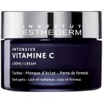 Institut Esthederm Intensive Vitamín C Cream 50 ml – Zbozi.Blesk.cz