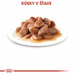Royal Canin Instinctive gravy 12 x 85 g – Sleviste.cz