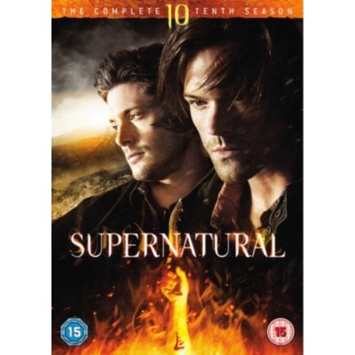Supernatural: The Complete Tenth Season import DVD – Zboží Mobilmania