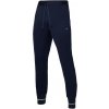 Pánské tepláky Nike kalhoty Strike pants 22 dh9386-451