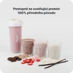 Vilgain Micellar Casein Protein 1000 g – Zbozi.Blesk.cz