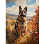 Norimpex diamantové malování Německý ovčák v horách 30 x 40cm – Hledejceny.cz