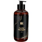 Alterna Caviar Densifying Čistící Shampoo pro řídnoucí vlasy 250 ml – Zbozi.Blesk.cz