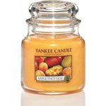 Yankee Candle Mango Peach Salsa 411 g – Zbozi.Blesk.cz