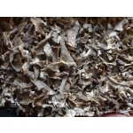 Bylinná lékárna Lišejník islandský Lichen islandicus 200 g – Zboží Dáma