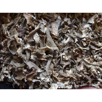 Bylinná lékárna Lišejník islandský Lichen islandicus 200 g – Zboží Dáma