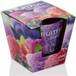 Bartek Candles FRUITFUL Berries Ice Cream 115 g – Zboží Mobilmania