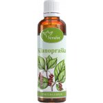 Serafin tinktura z bylin Klanopraška Schizandra 50 ml – Hledejceny.cz