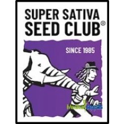 Super Sativa Seed Club Kosher Haze semena neobsahují THC 5 ks