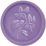 Esprit Provence přírodní tuhé mýdlo Fialka 100 g – Hledejceny.cz