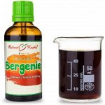 Bylinné kapky Bergenie 50 ml – Hledejceny.cz