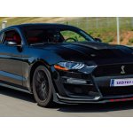 Jízda ve Fordu Mustang GT 5.0 V8 Shelby paket – Zboží Mobilmania