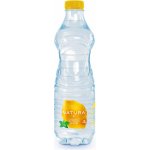 Natura Ochucená voda citron a máta 12 x 0,5 l – Hledejceny.cz