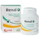 Candioli Renal P 70 g – Hledejceny.cz