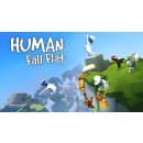 Human: Fall Flat