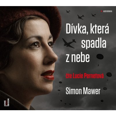 Dívka, která spadla z nebe - Mawer Simon – Hledejceny.cz