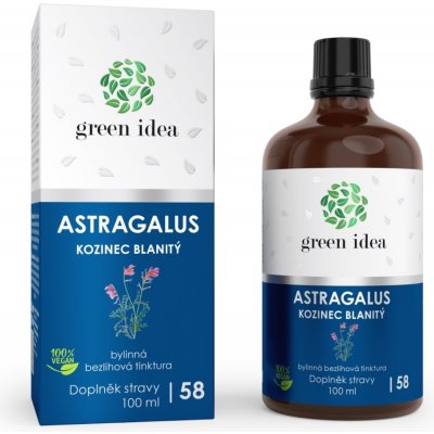 Green idea Astragalus bezlihová tinktura 100 ml – Hledejceny.cz