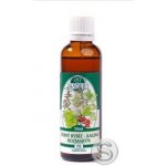 Naděje P08 Černý rybíz kalina rozmarýn 50 ml – Hledejceny.cz