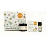 Kvitok dárkový kosmetický balíček Vánoční večer šlehaný tělový krém 60 ml + sprchový krém 100 ml + směs esenciálních olejů 10 ml – Zboží Dáma