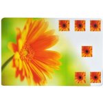 Toro prostírání květiny 28x43cm – Zboží Mobilmania