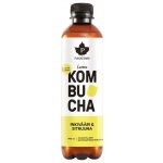 Puhdistamo Kombucha BIO 400 ml – Hledejceny.cz