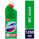 Domestos Extended Power čisticí přípravek na toalety Pine 1250 ml – Zbozi.Blesk.cz