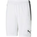 Puma teamLIGA Shorts