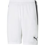 Puma teamLIGA Shorts – Zbozi.Blesk.cz