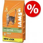 Iams ProActive Health Adult Hairball Care 3 kg – Hledejceny.cz