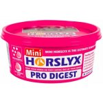 Horslyx Liz pro koně Digest Balancer 650 g – Hledejceny.cz