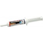 EQUINE AMERICA Apple Lytes Paste 2 x 15 ml – Hledejceny.cz