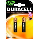 Duracell Basic AAA 2ks 10148634PS – Hledejceny.cz