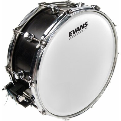 Evans UV1 14" – Zboží Dáma