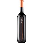 Klet Brda Bagueri Cabernet Sauvignon 2020 Červené 13,5% 0,75 l (holá láhev) – Hledejceny.cz