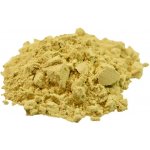 Salvia Paradise Nopál prášek 500 g – Hledejceny.cz