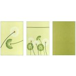 Sleep-well PAMPELIŠKA 50x70cm 3ks pistáciová – Sleviste.cz