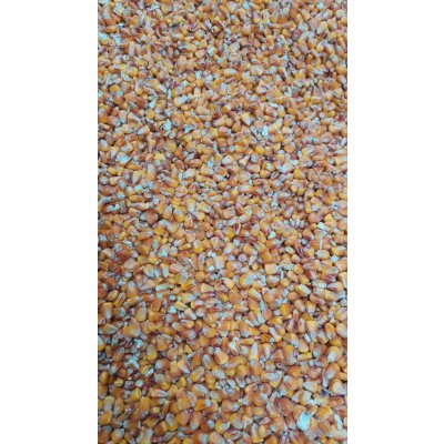 Fauna Hradil Kukuřice žlutá 10 kg – Zboží Dáma