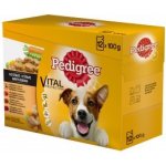 Pedigree Vital Protection 100% kompletní výživa v želé 12 x 100 g – Hledejceny.cz